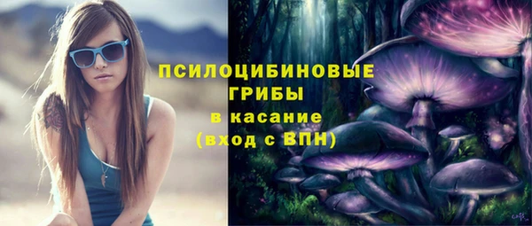 прущие крисы Алзамай