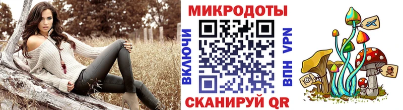 Галлюциногенные грибы Cubensis  маркетплейс Telegram  Гусь-Хрустальный  сколько стоит 